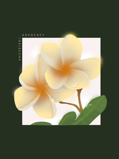 Blooming Connections: The Plumeria Flower Design that Supports Cultural Heritage